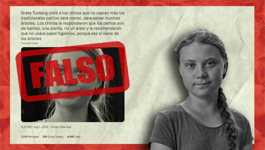 Falso_Greta Thunberg pidió que no usaran palitos