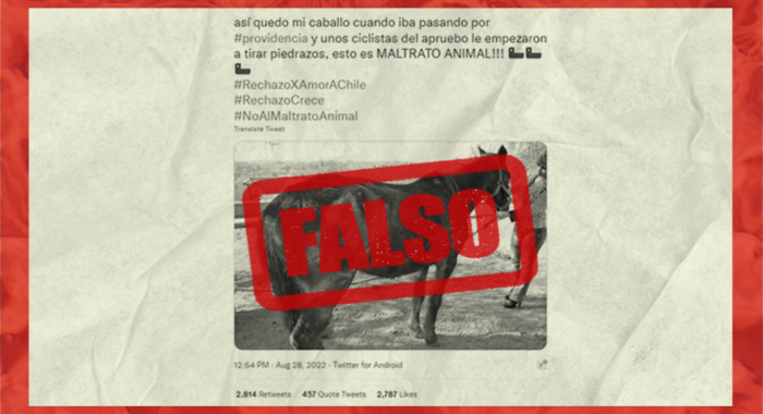 Falso_caballo herido tras incidentes en Alameda