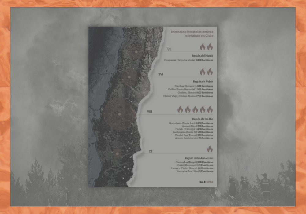 Incendios forestales en Chile: El mapa de los focos activos