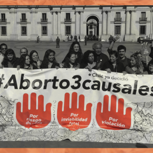 Exp_aborto tres causales